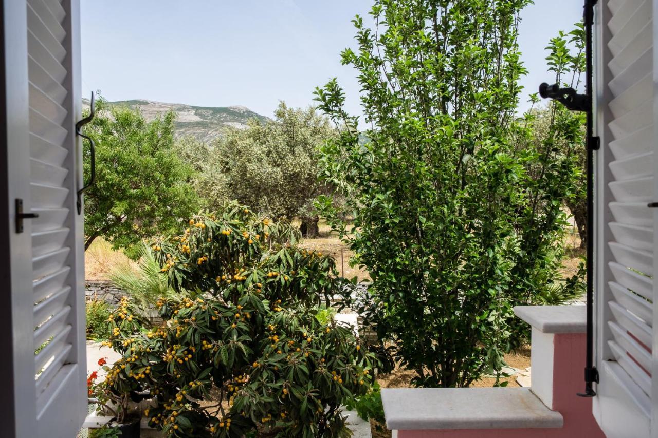 Cozy & Peaceful Apartment In Chalki Khalkion Exterior photo